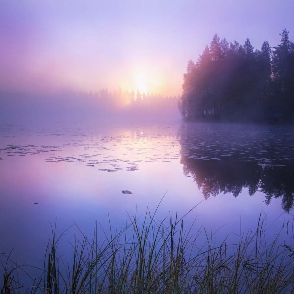 Природа спокойствие