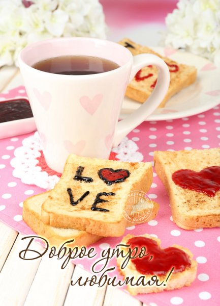 Утренняя роза