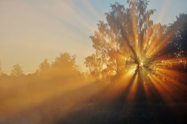 Рассвет лучи солнца
