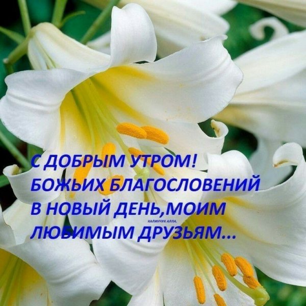 Обильных Божьих благословений