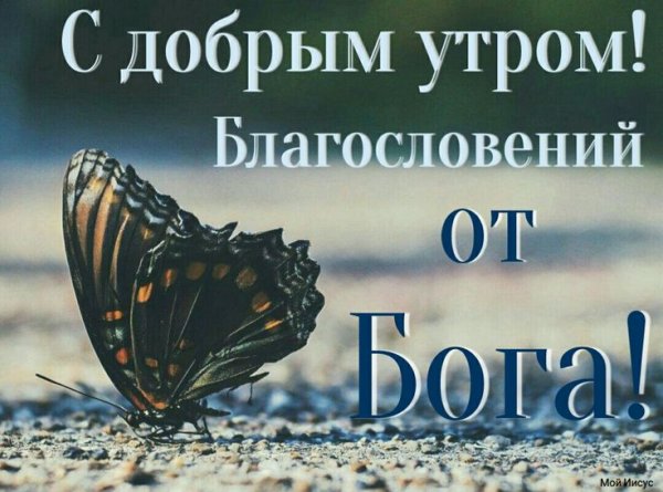 Открытки с добрым утром и Божьим благословением
