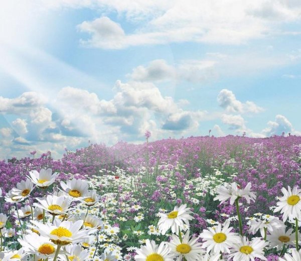 Доброго утра милости Божией