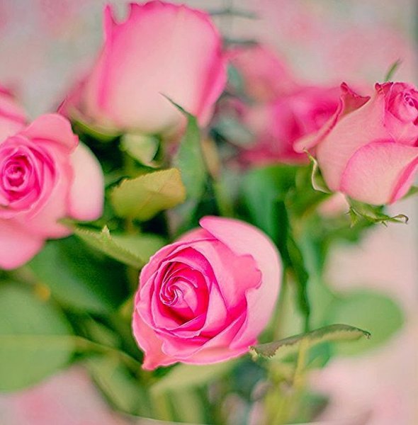 Хорошеготдня с Господом