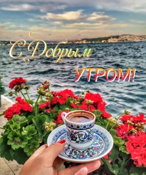 Доброе утро коллекции