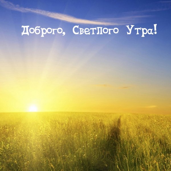 Светлого утра
