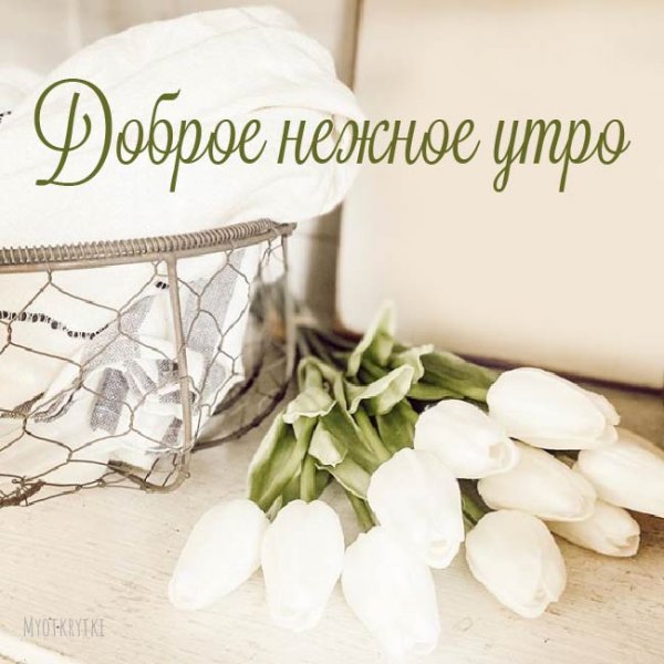 Стильные пожелания с добрым утром