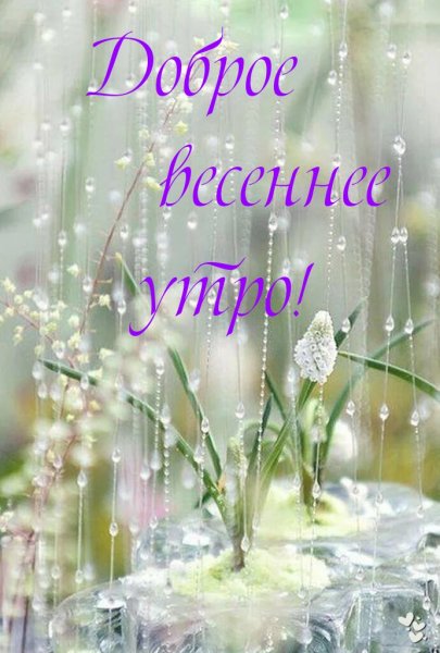Поздравления с добрым утром весной