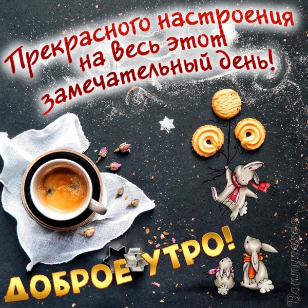 Цитаты с добрым утром прикольные