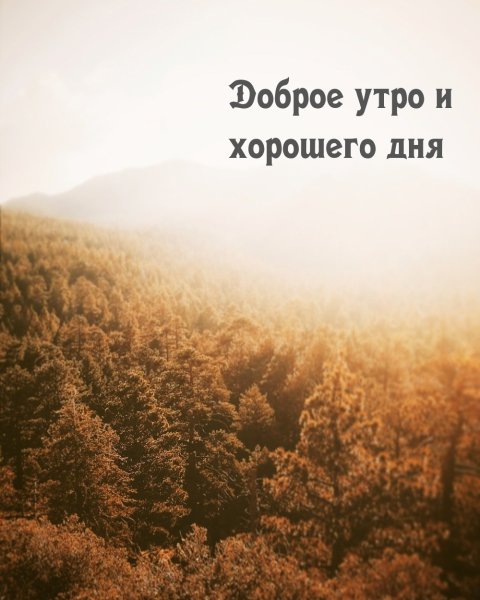 Доброе утро и хорошего дня со смыслом