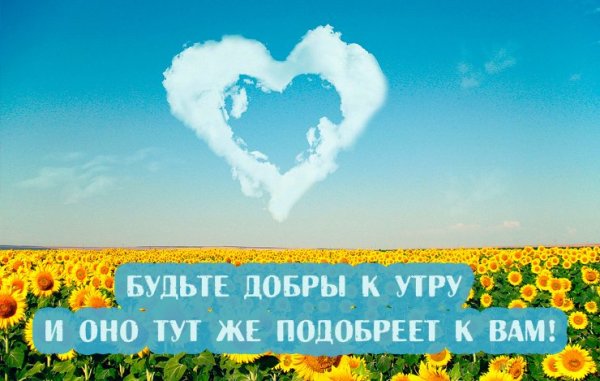 Картинки с добрым утром позитивные философские