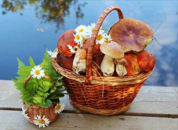 Чашка с пирогами