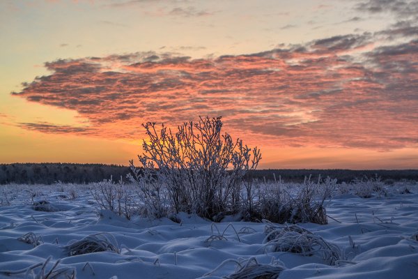 Морозного декабрьского утра