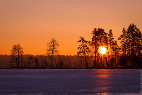 Федор Тютчев — декабрьское утро