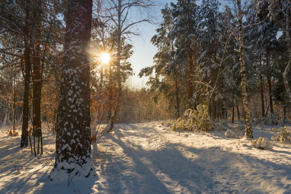 Федор Тютчев — декабрьское утро