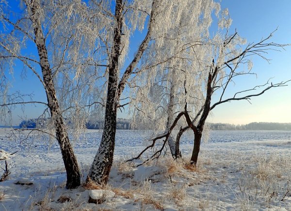 Декабрьские окрестности