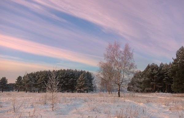 Природа зима декабрь