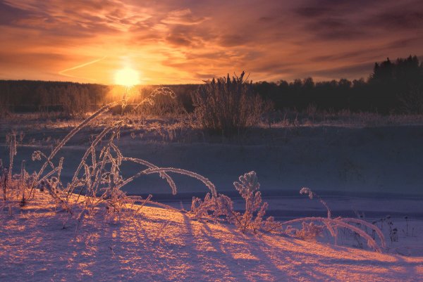 Свежесть морозного утра