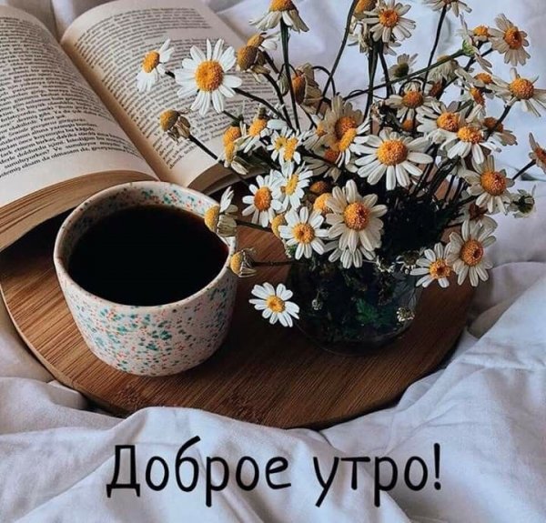 Умные пожелания с добрым утром