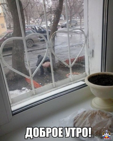 Под окном прикол