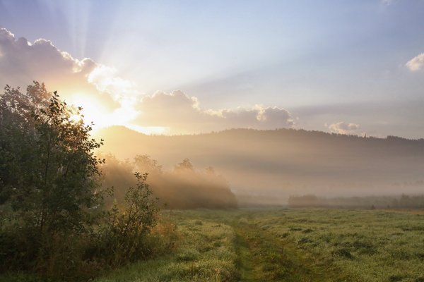 Пейзаж утро