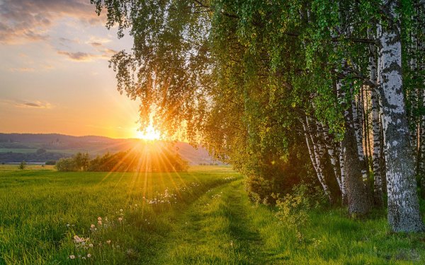 Природа летом рассвет