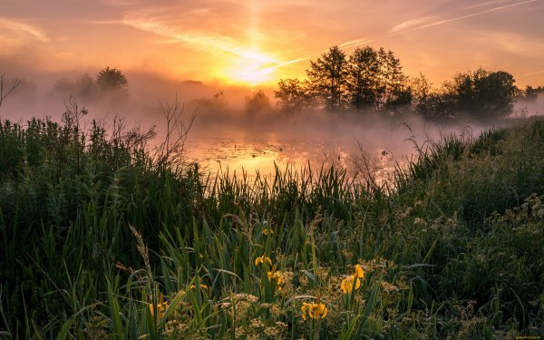 Утренний рассвет природа