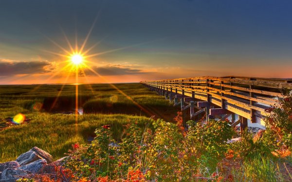 Красивая природа рассвет