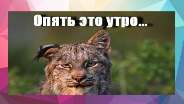 Опять эти утра