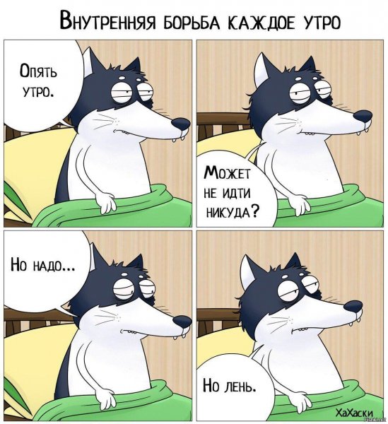 Хахаски утро