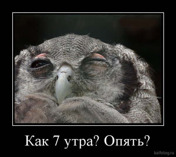 Добрые демотиваторы
