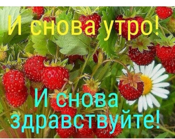 И снова Здравствуйте