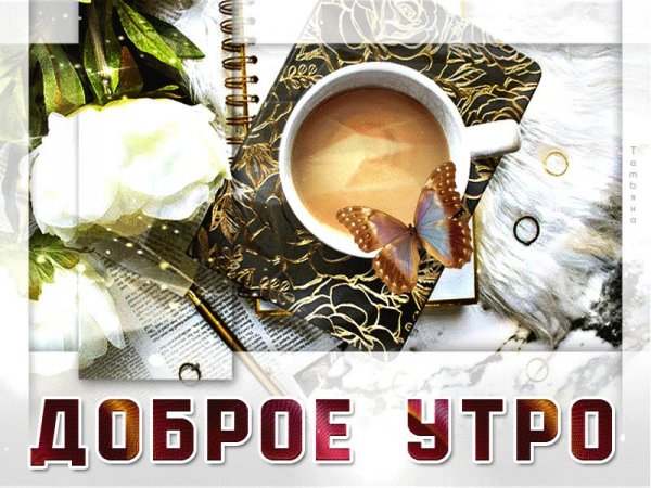 Опять доброе утро