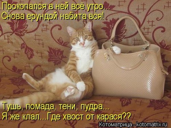 И снова утро