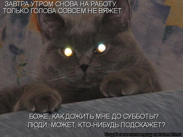 Завтра опять на работу