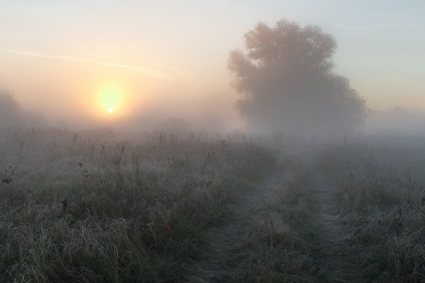 Раннее утро туман