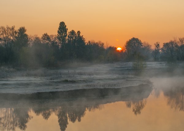 Красивое туманное утро