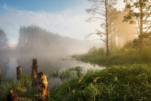 Пейзаж туман