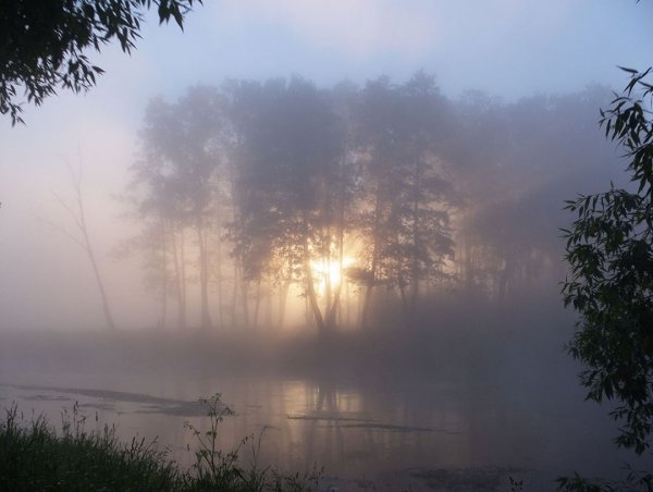 Дымка над водой