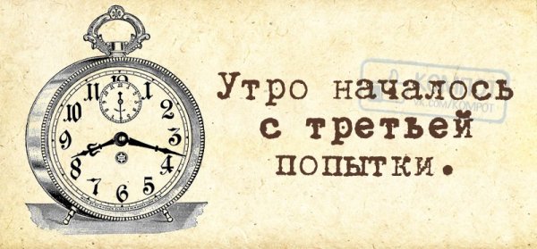 Наступило утро прикольные
