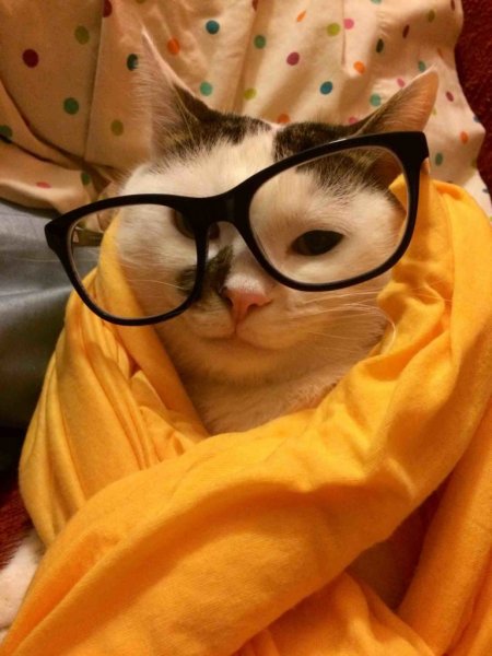 Кофе и путешествия