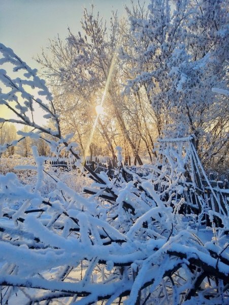 Утро зима снег