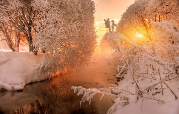 Морозное утро