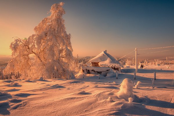 Фотограф Владимира Чуприков