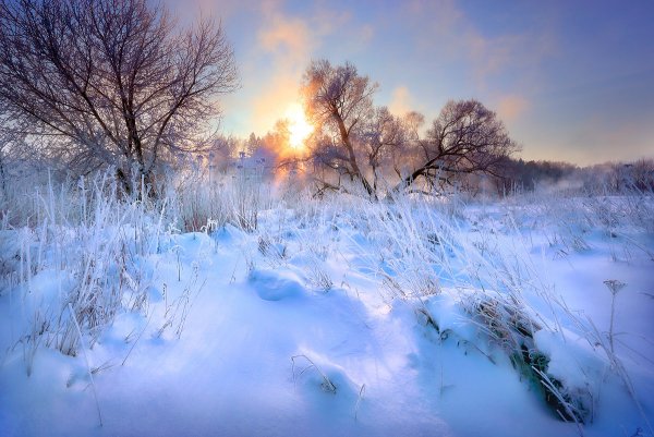 Морозное солнечное утро