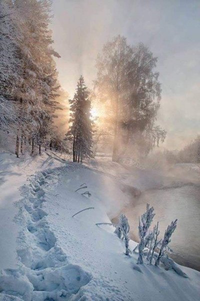 Морозное зимнее утро