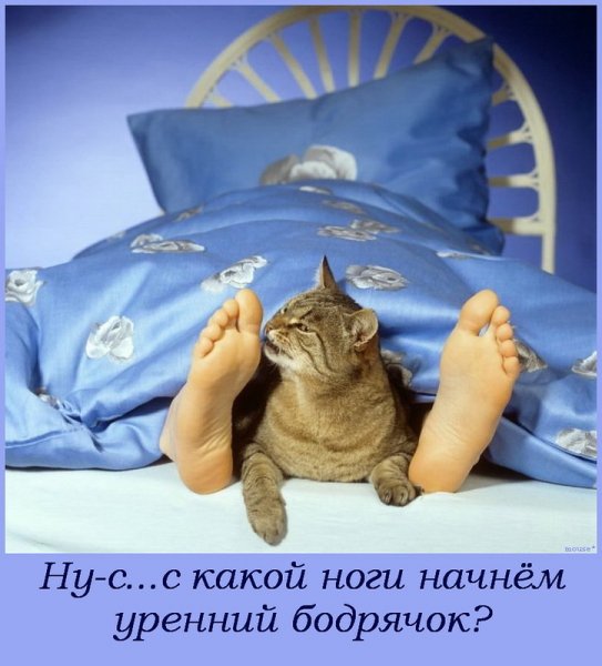 Доброе утро прикол