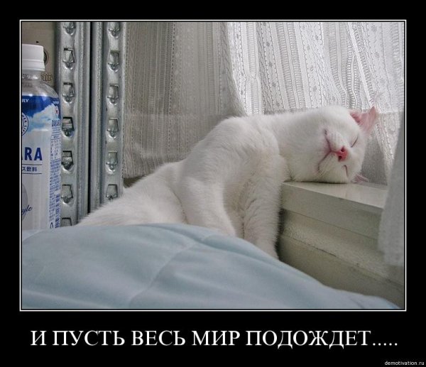 Демотиваторы с добрым утром