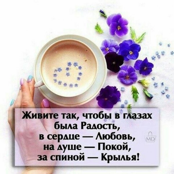 Доброе утро цитаты