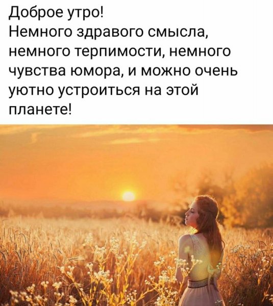 Высказывания с добрым утром