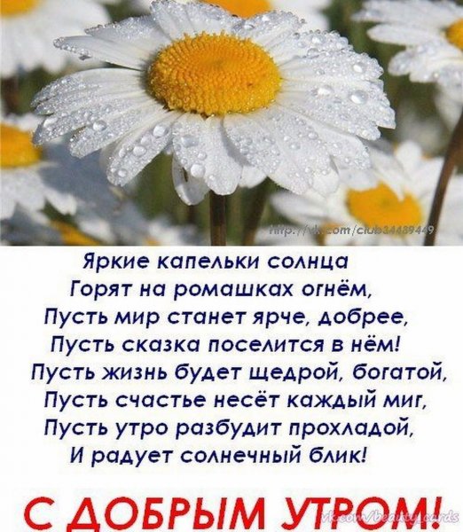 Красивые стихи о добром утре
